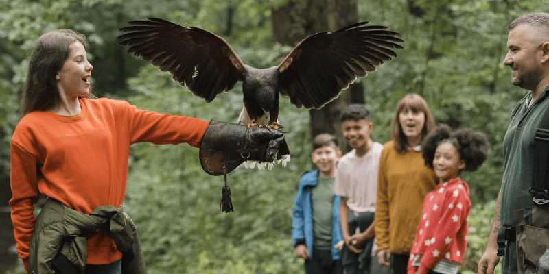 A woman holding a falcon in front of a group of people
