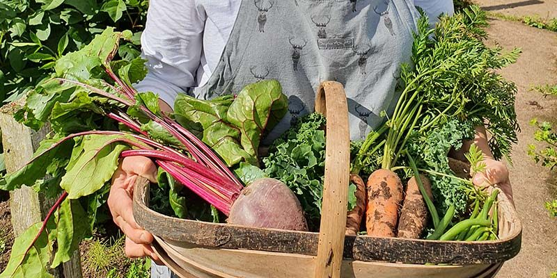 A woman holding a basket full of vegetables