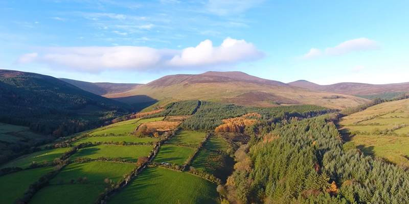 An aerial view of a lush green valley