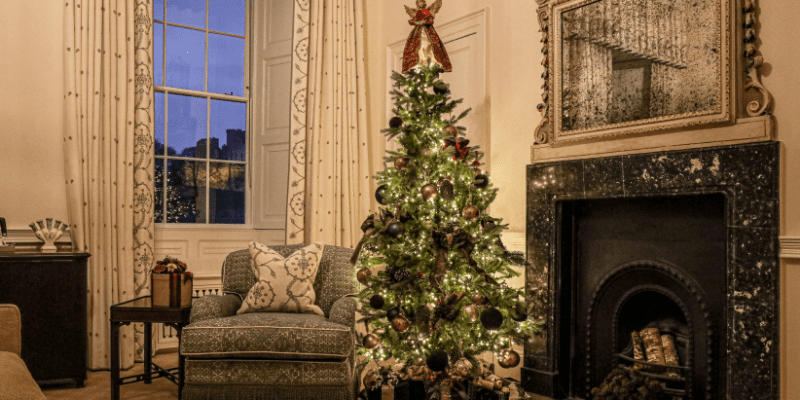 A living room with a christmas tree in the corner