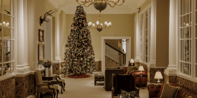 A decorated christmas tree in a living room