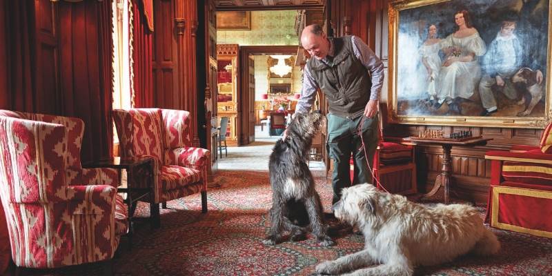 A man walking two dogs in a large room in a castle