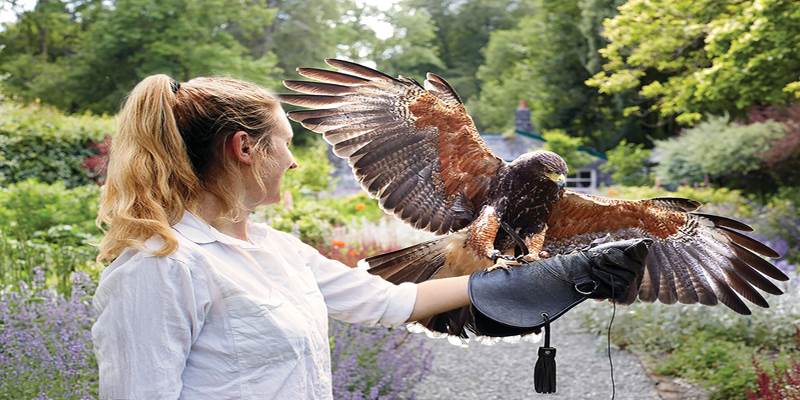 A woman holding a bird of prey in her hand