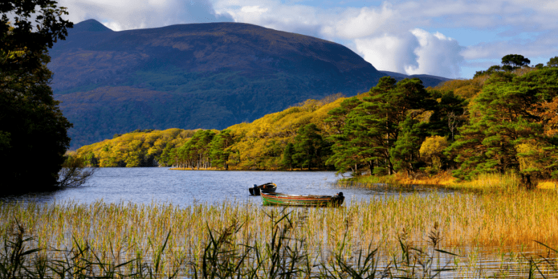 A boat floating on top of a lake surrounded by tall grass