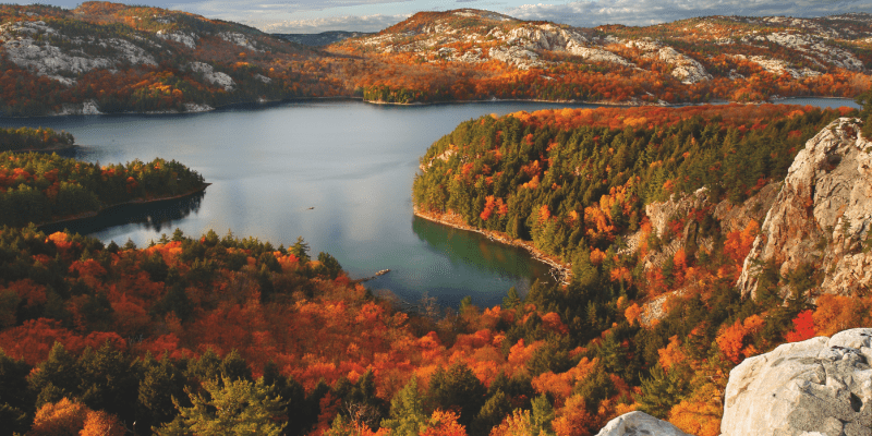 A large body of water surrounded by trees in autumn