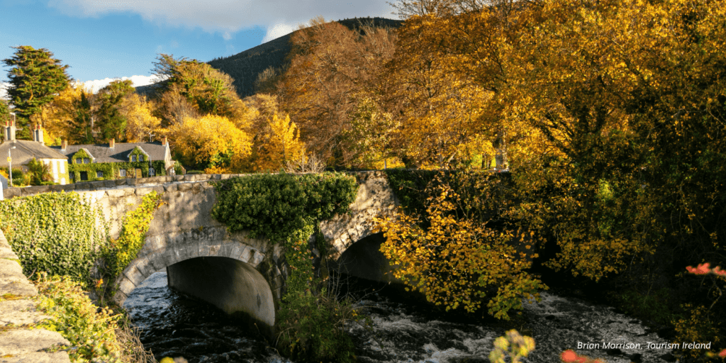 A stone bridge over a river surrounded by trees