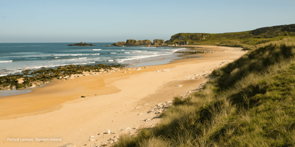 A sandy beach next to a grassy hill