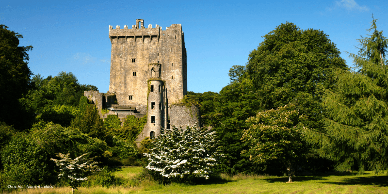 Landscape of Blarney castle on a sunny day