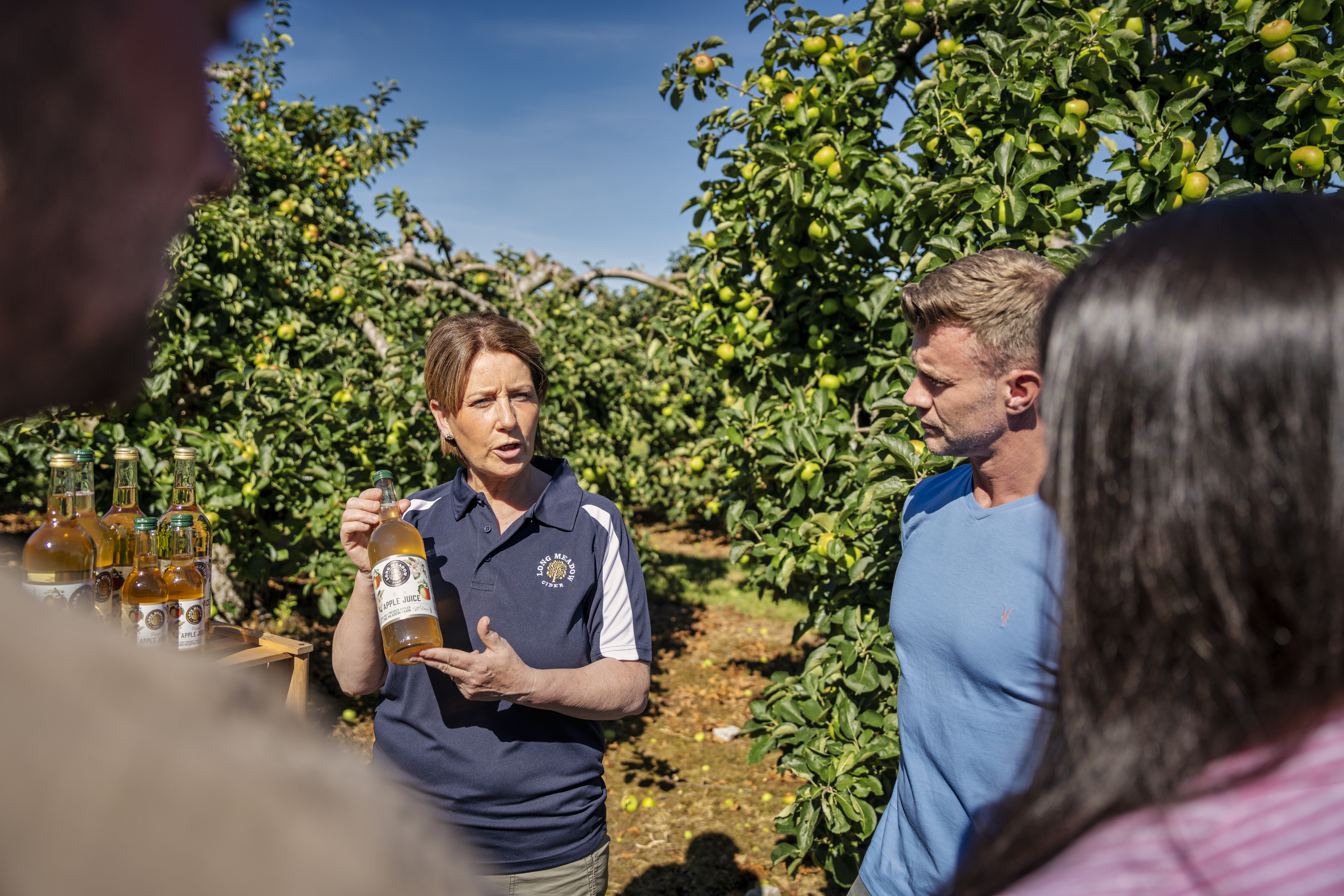 Visit Long Meadow Orchard in Armagh Northern Ireland for a cidar experience