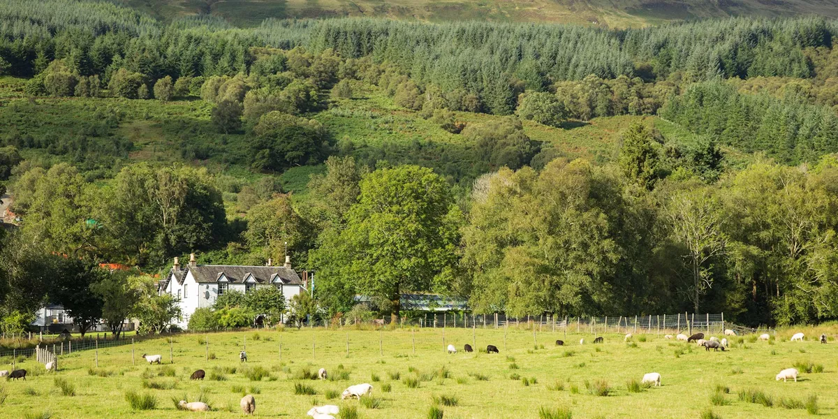 Best of Ireland and Scotland Guided Tour