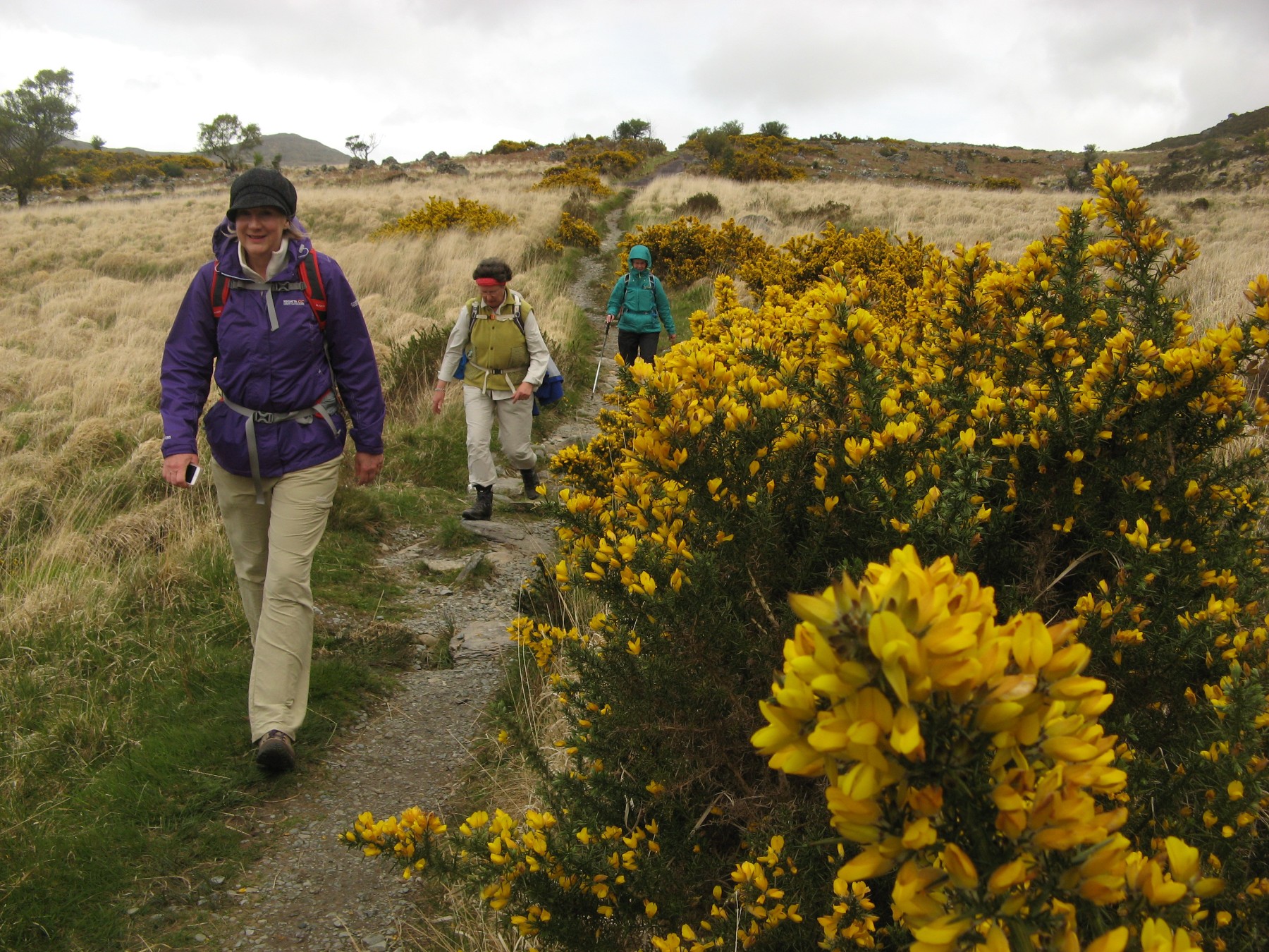 Brendan Vacations guided walk through flowers and grass