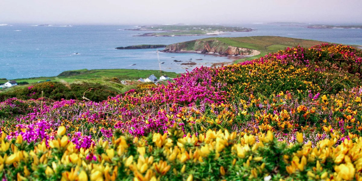 Amazing Ireland Guided Tour