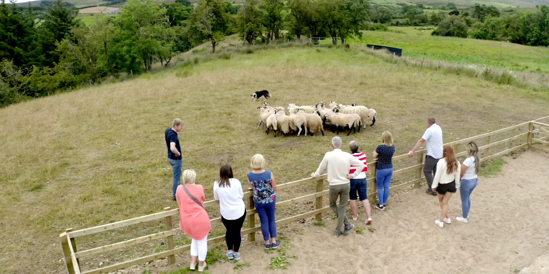 Dunfin Sheep Experience