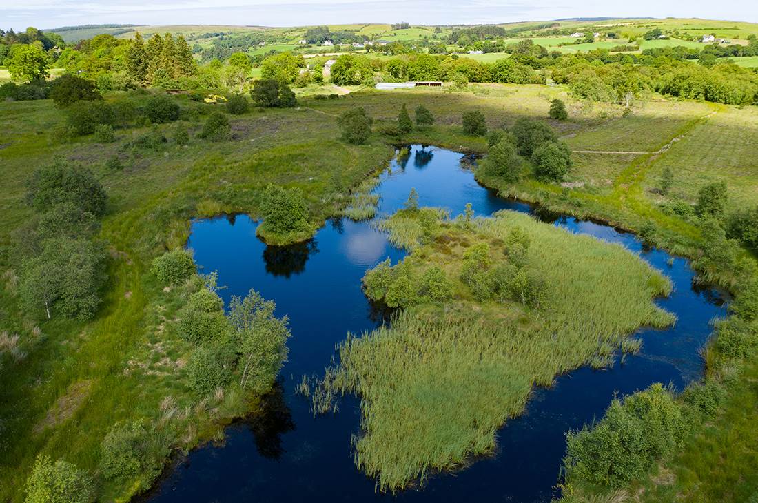 A lake at a lush green countryside
