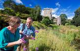 Blarney_Castle_Ireland_Tours