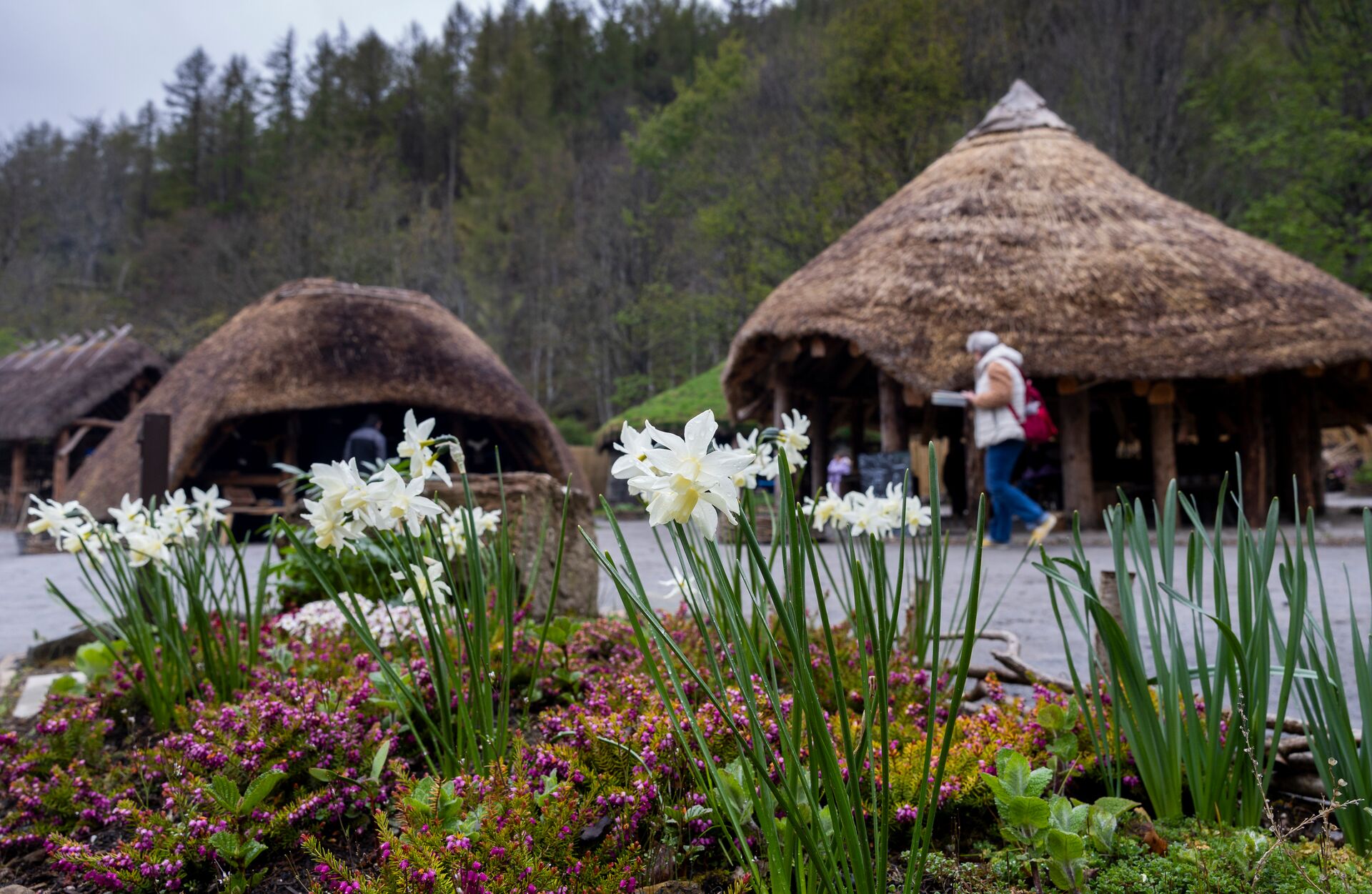 Large Scottish Crannog Centre 11 (1) 1