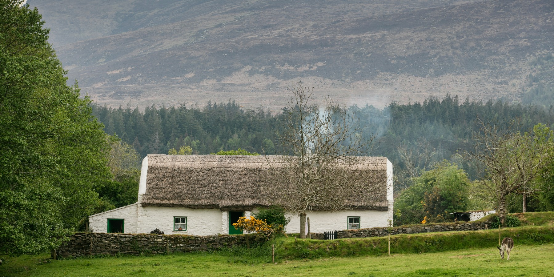 A small house with a mountain in the background 