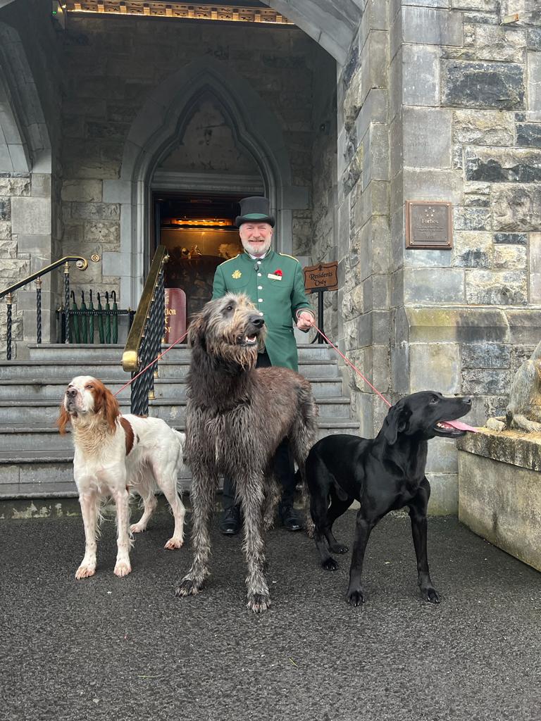 Guests will meet the famed dogs of Ireland's Ashford Castle
