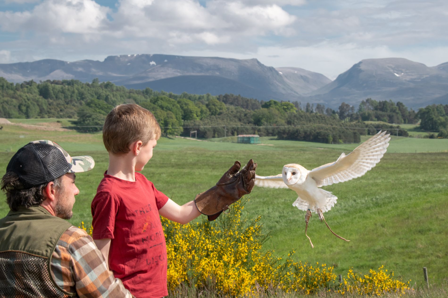 Child and man in Rothiemurchus with falcon
