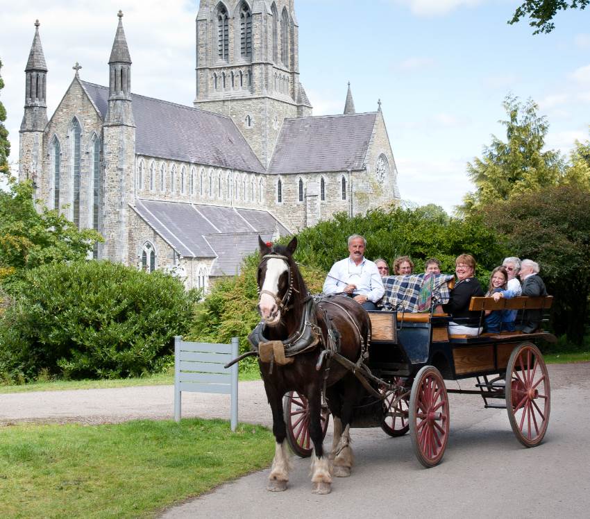 Jaunting cart in Killarney, Ireland