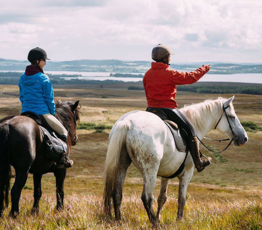 Killarney horse riding in Ireland