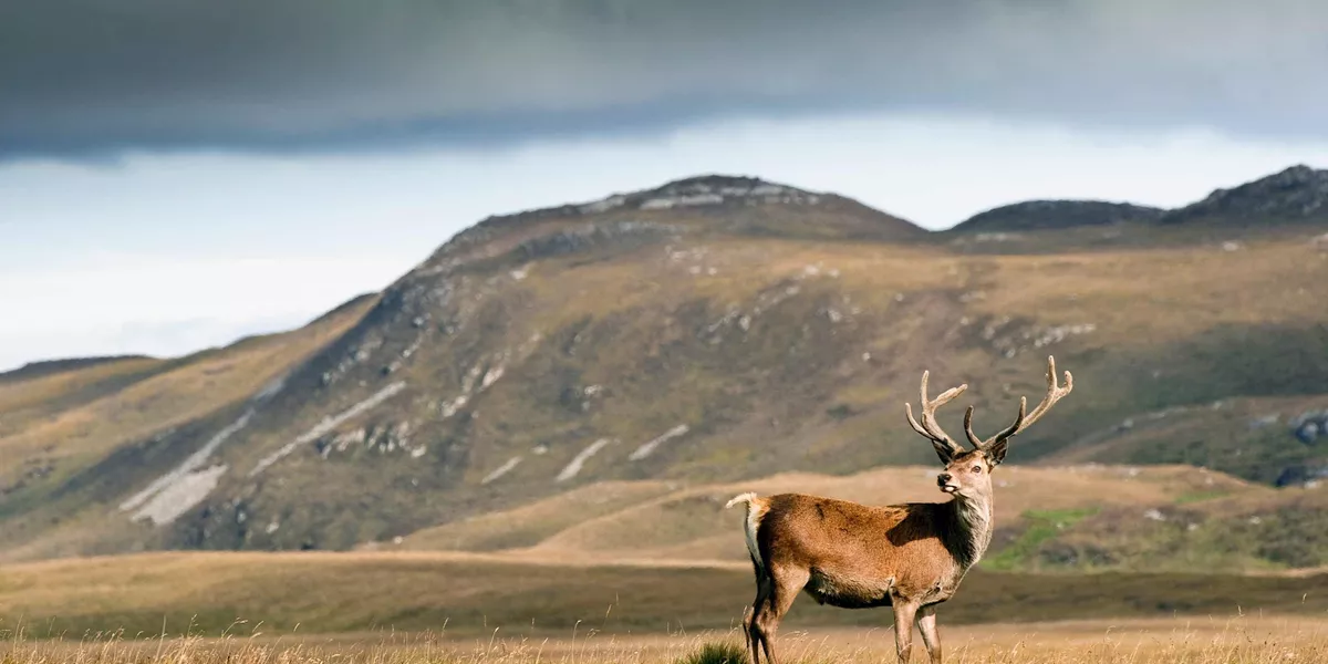 Highland Trail Inspired by Outlander Guided Tour