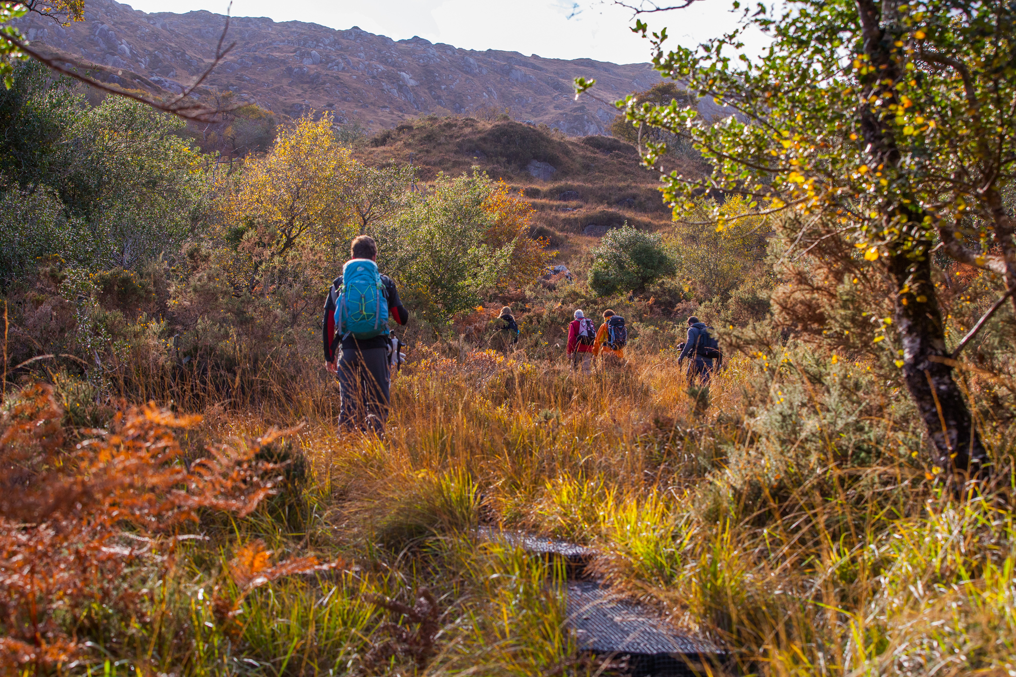 Travelers explore Old Kenmare Road in Killarney National Park, Ireland