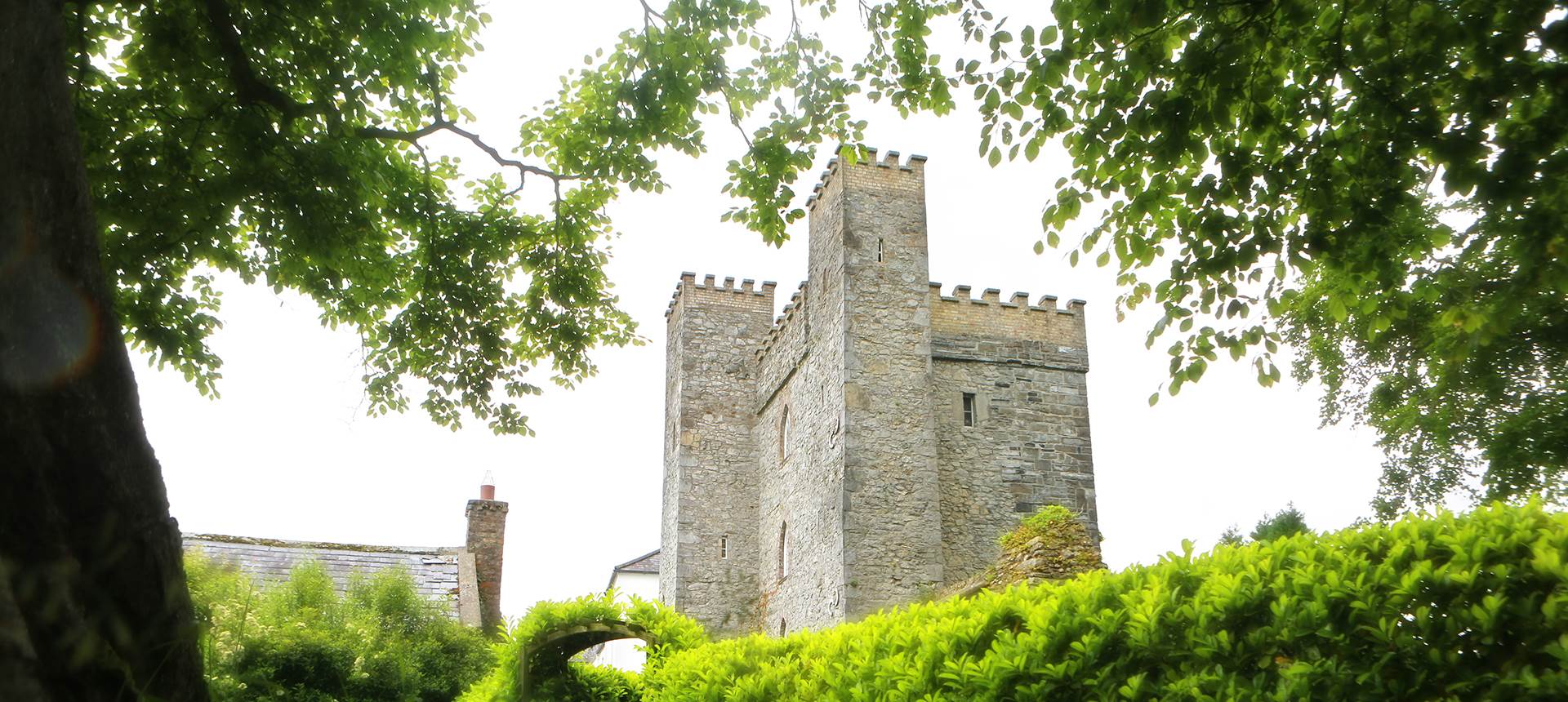 A tall tower in the woods