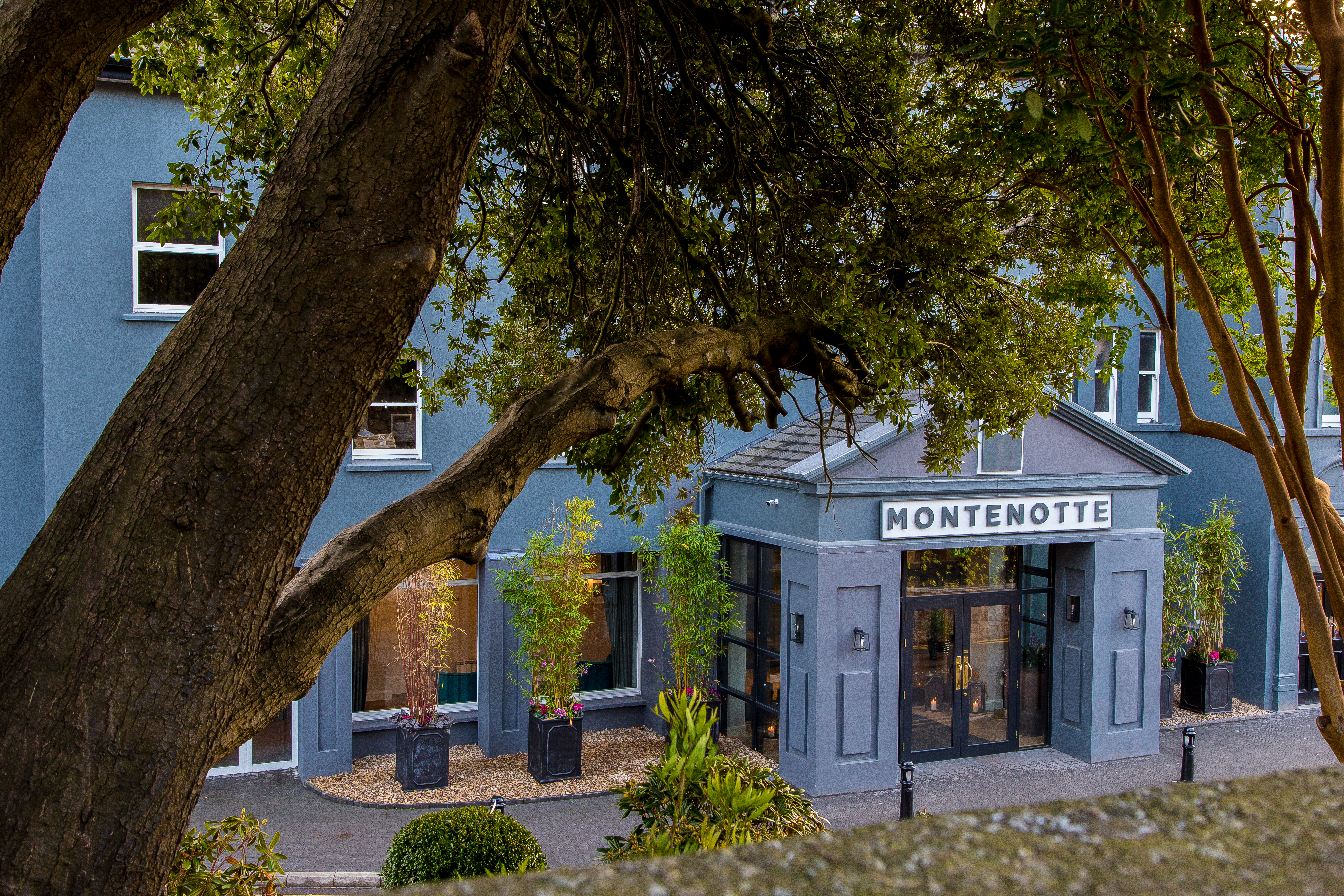 Exterior of montenotte hotel with huge tree in front of it with a blue exterior