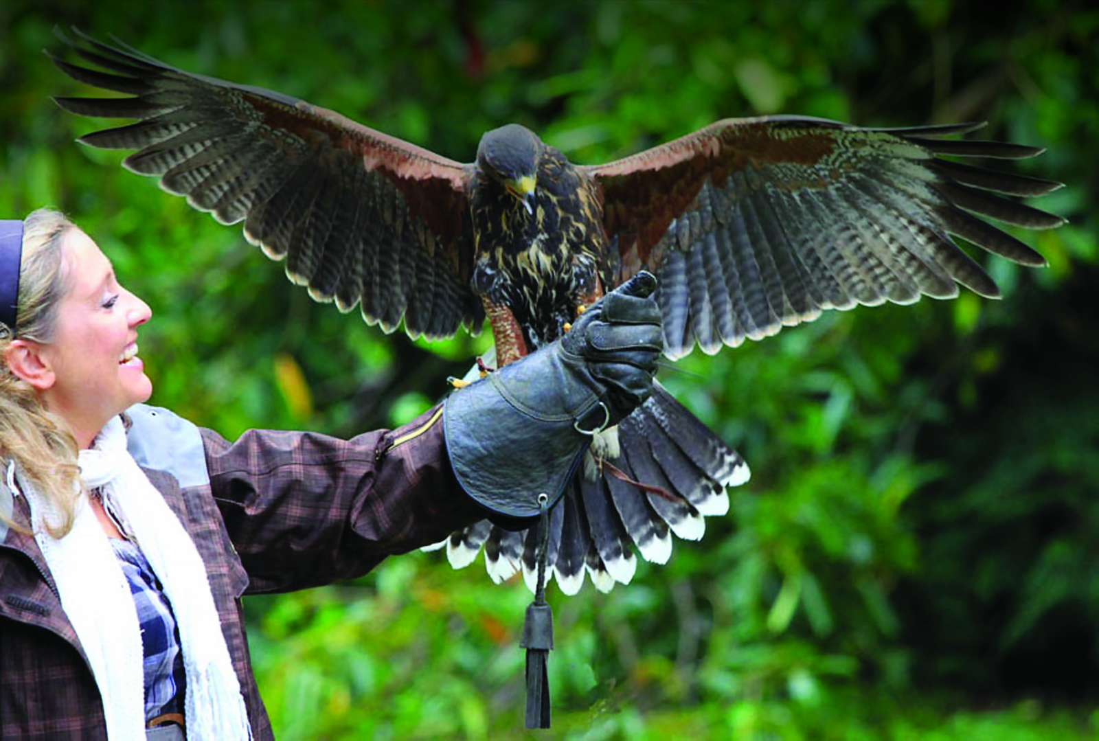 14_falconry-ashford-castle-ireland.jpg