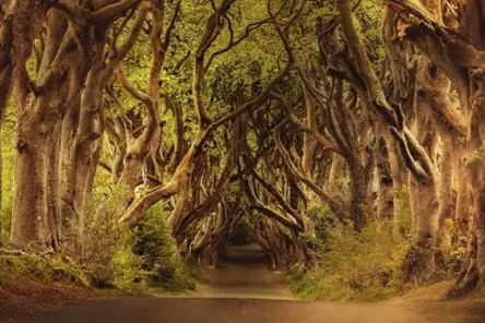 Brendan Vacations The Gab Set Jetting Experiences Hero