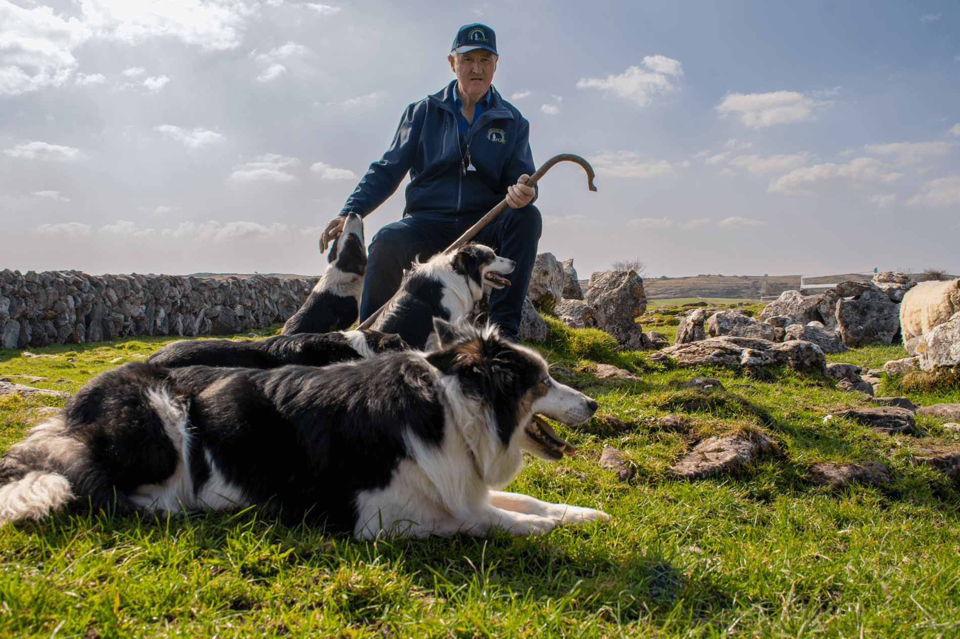 A man sitting down next to two dogs