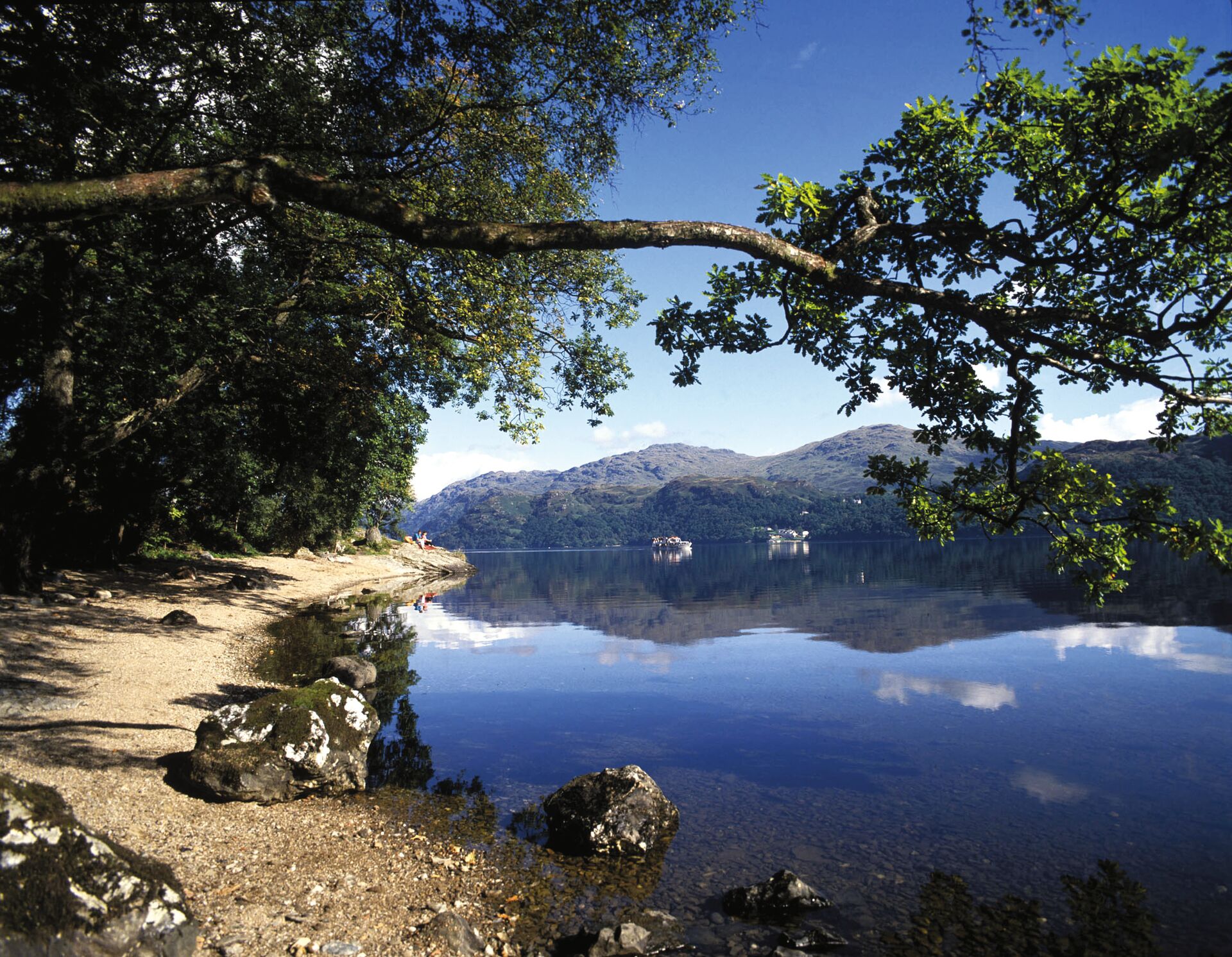 A tree branch hangs over the rocky shore of Loch Lomond with a mountain rising in the background against a blue sky.