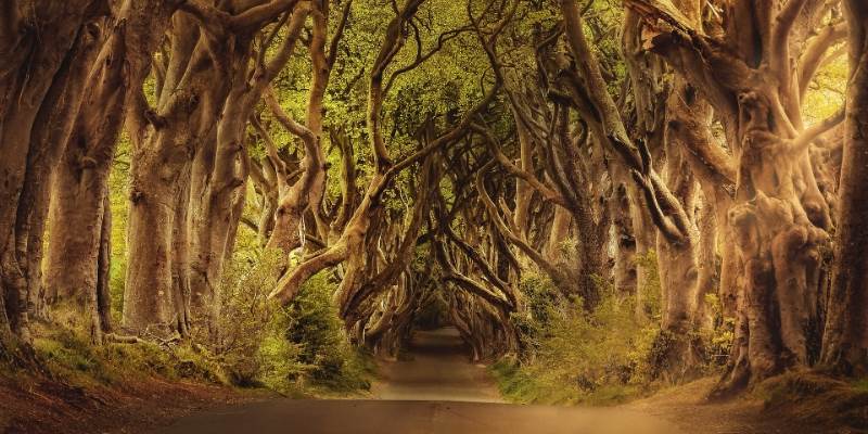 Brendan Vacations The Gab Set Jetting Experiences