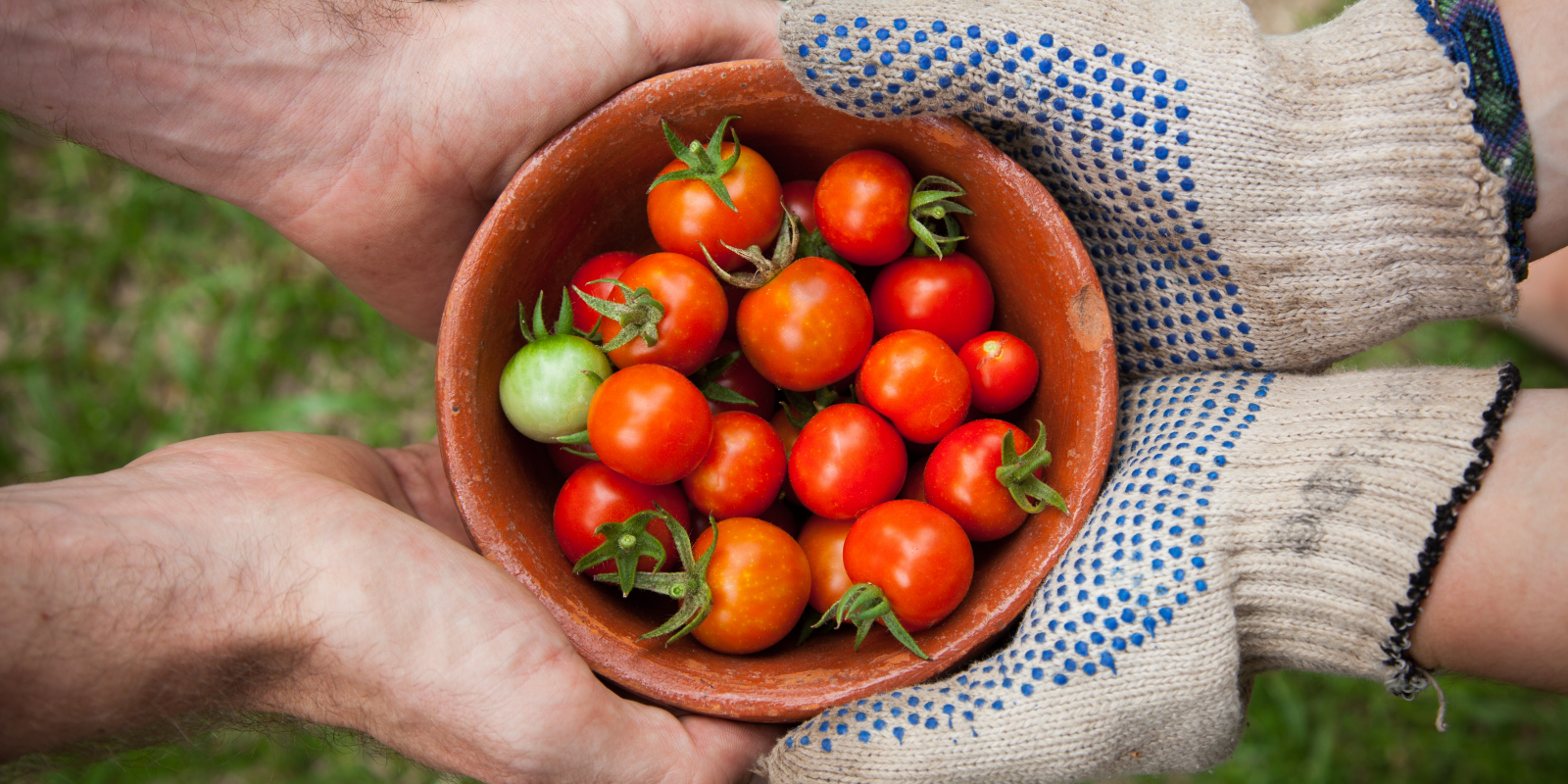 202307Bv Lughnasafestival Blog Hero 2 1