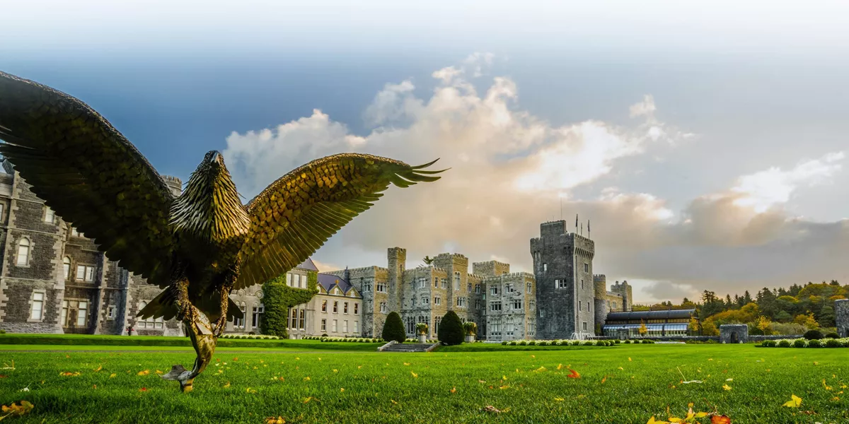 A falcon in front of a castle