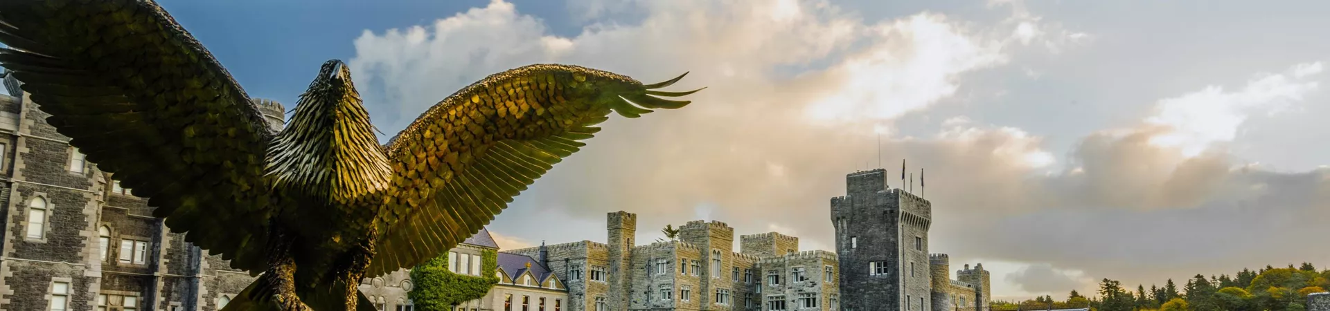 A falcon in front of a castle