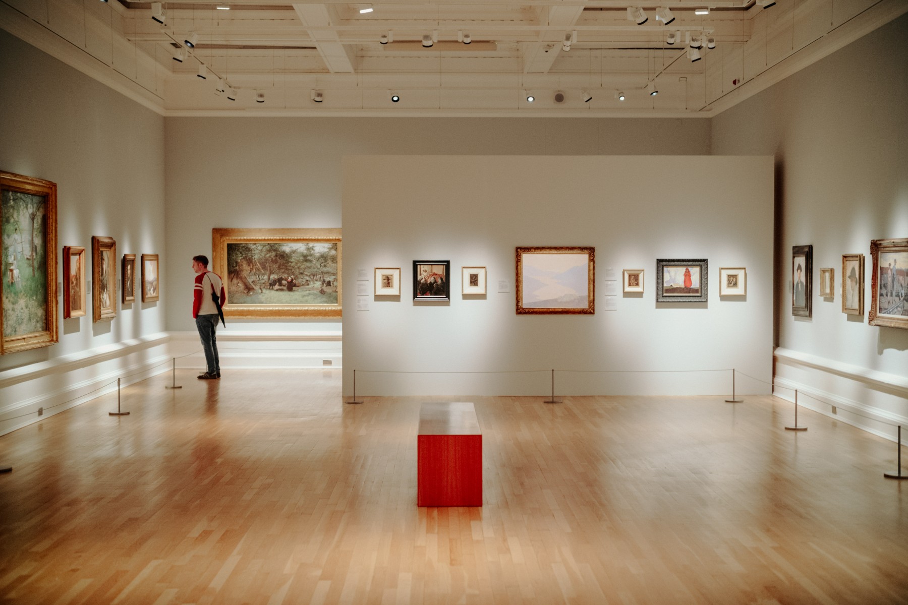 Inside halls of Ulster museum man looking at artwork
