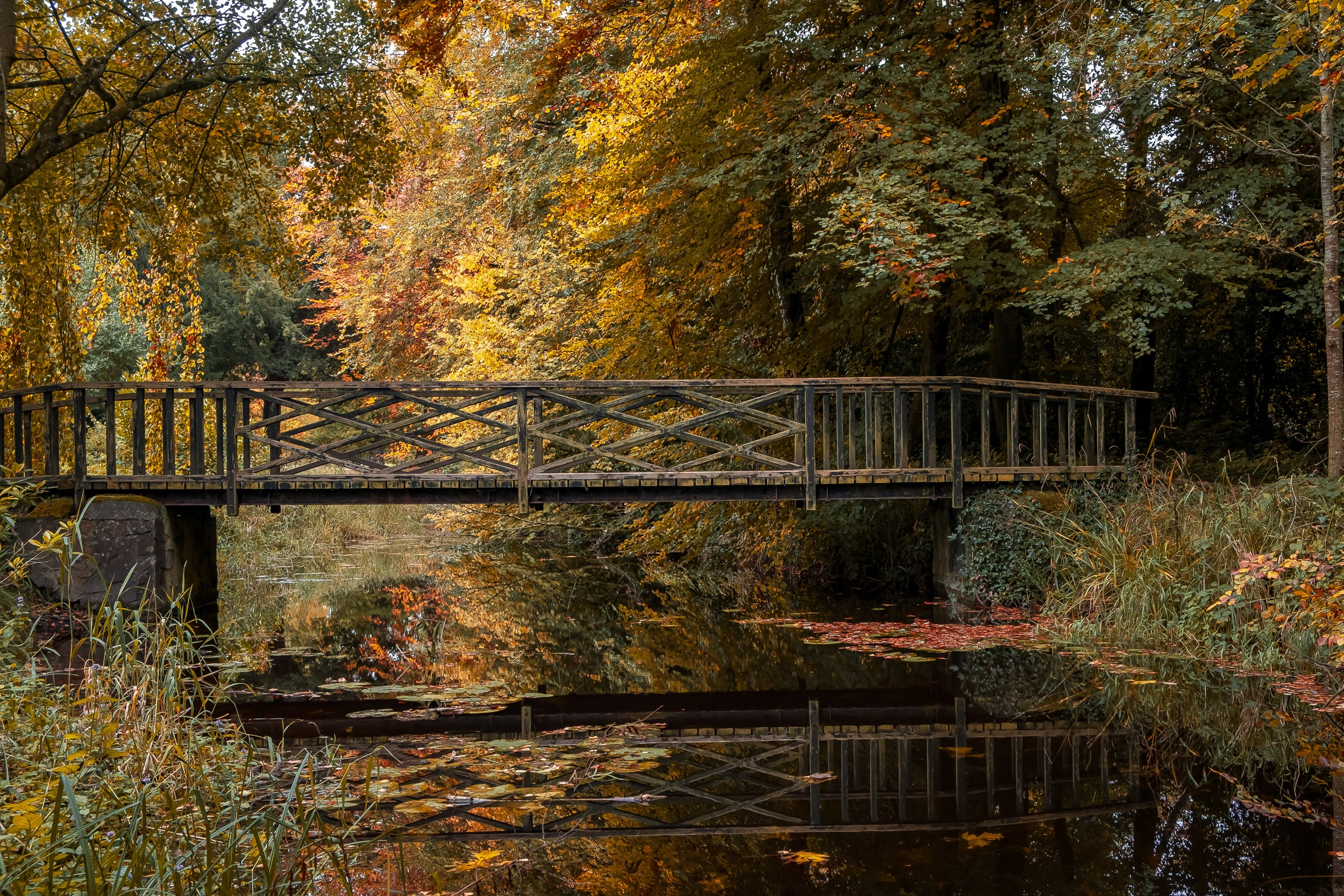 A bridge in the woods in autumn