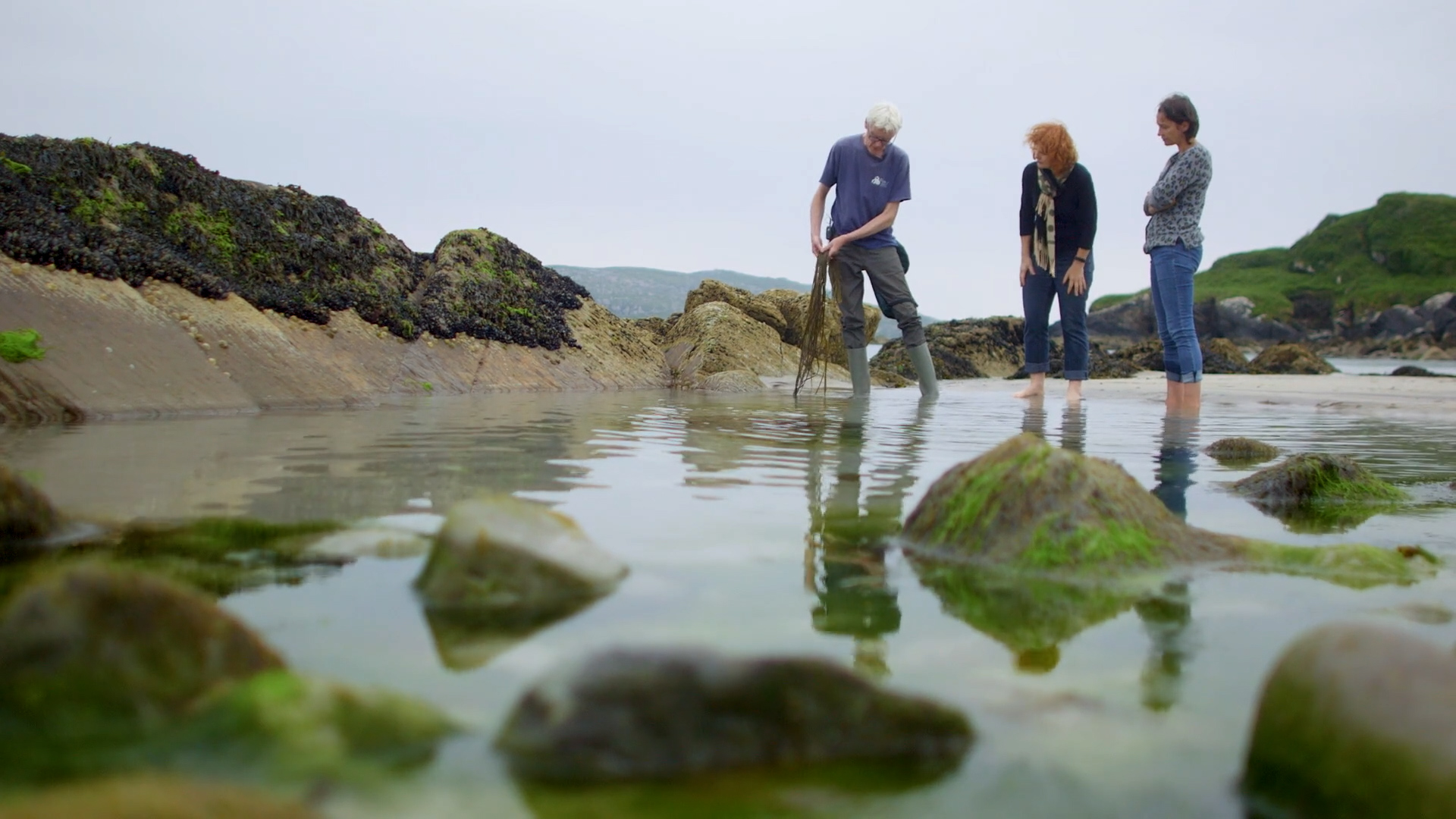 Guests discover the Seaweed Discovery Workshop and try foraging in Caherdaniel on the Ring of Kerry in Ireland
