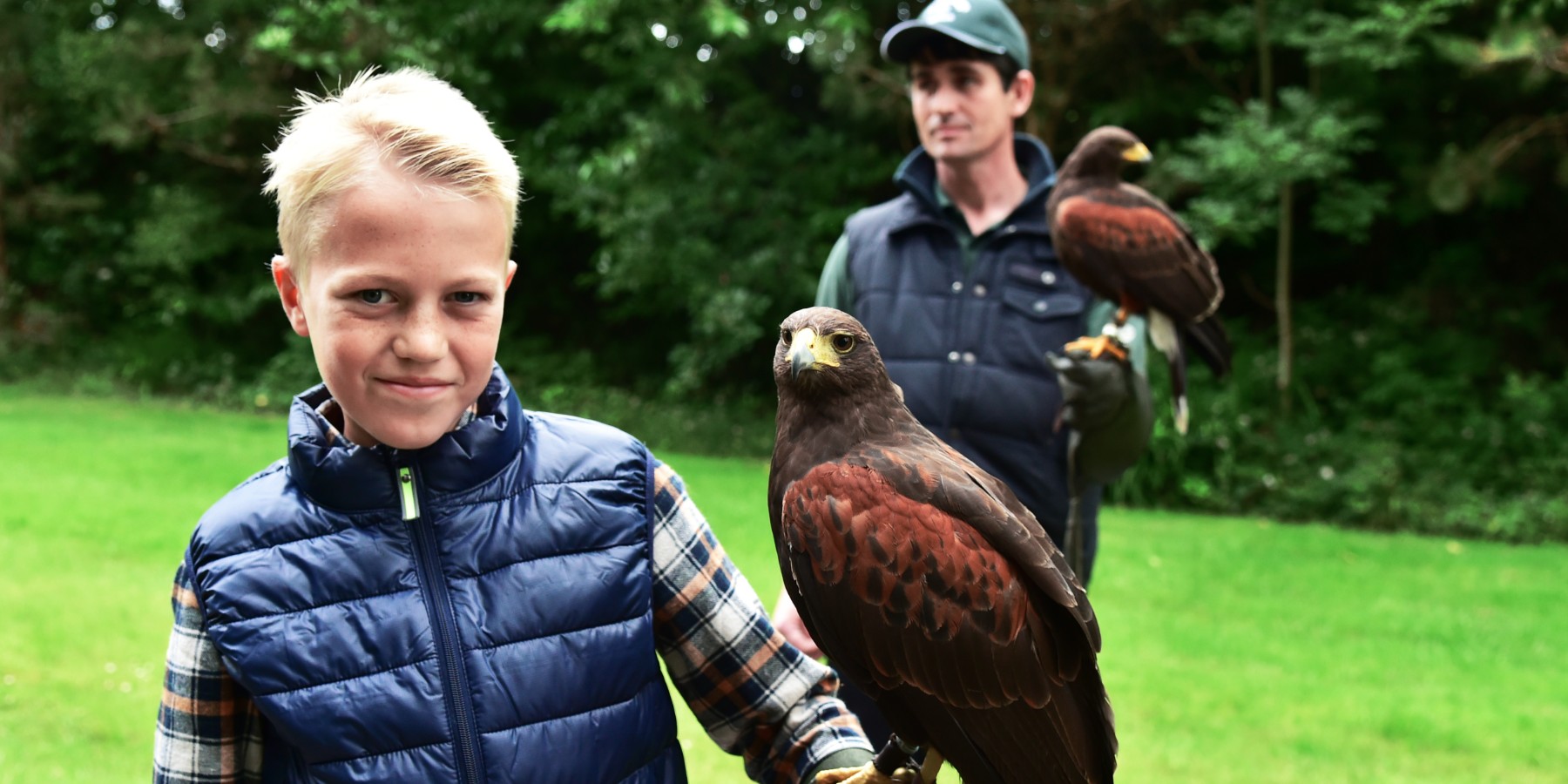 Family enjoying falconry experience at Ashford Castle