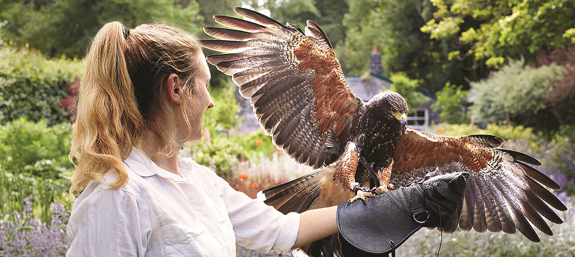 Brendan Vacations Sightseeing Activity Active