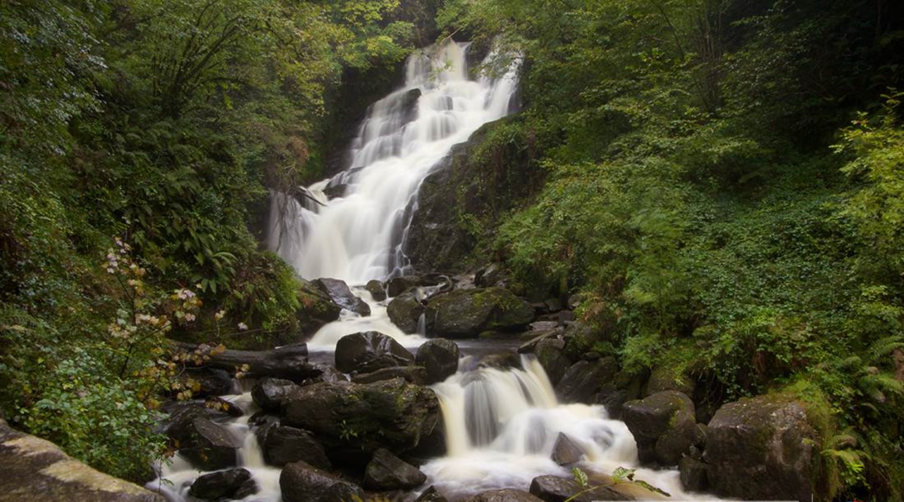 A small waterfall in the middle of a forest 