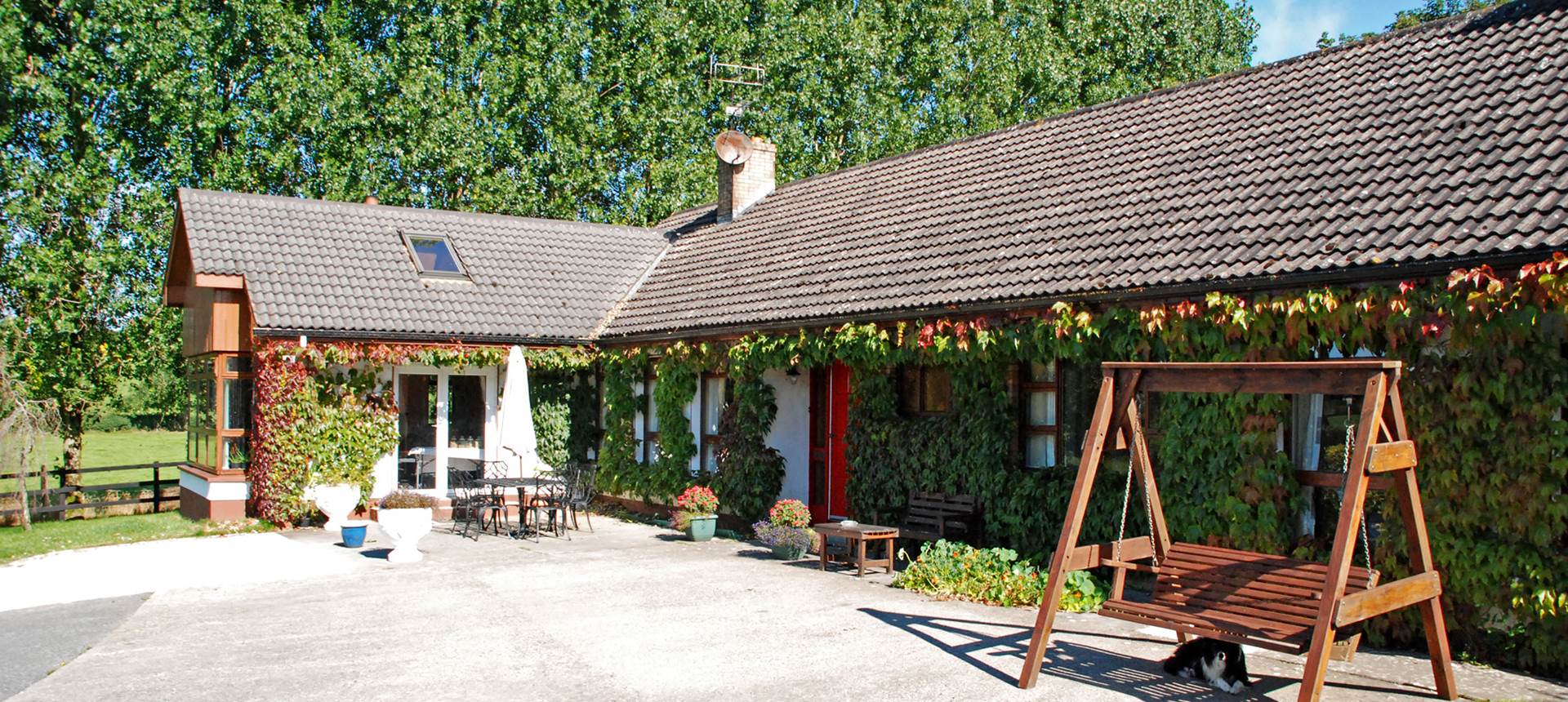 Bungalow B&B covered in vines and hanging plants 