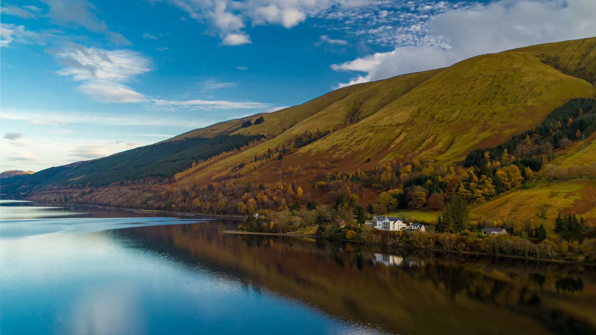 Large The Whispering Pines Landscape Drone Image