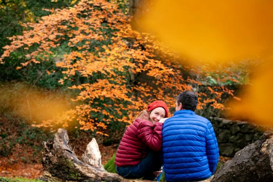 Two people sitting on a log in the woods during autumn