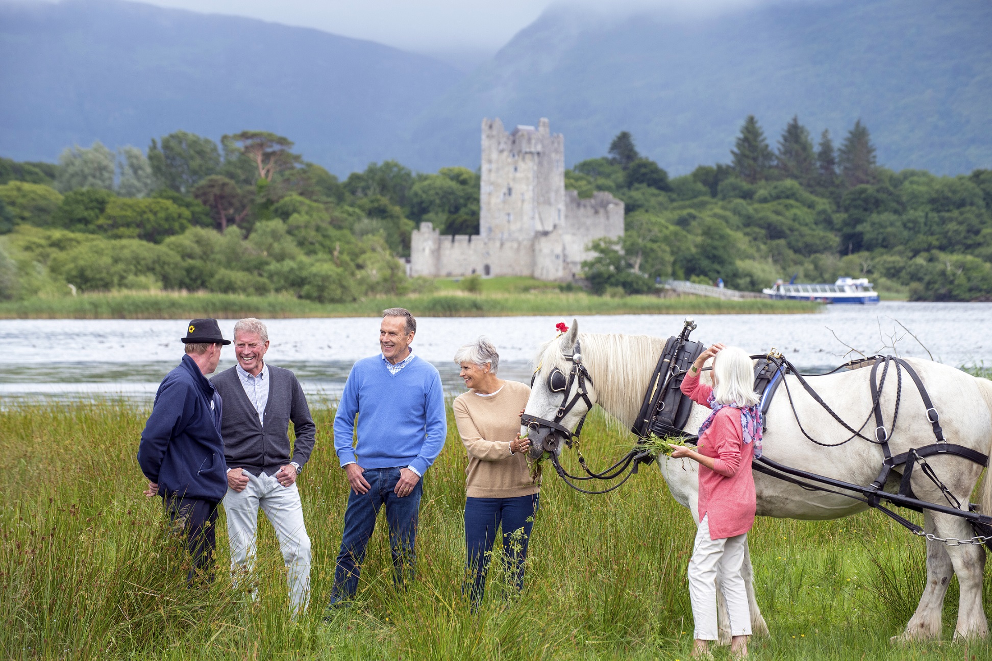 A group of people standing around a white horse