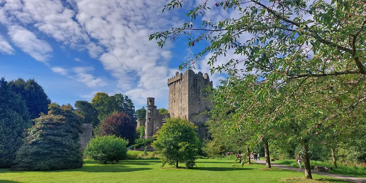 Large Getty 1666920453