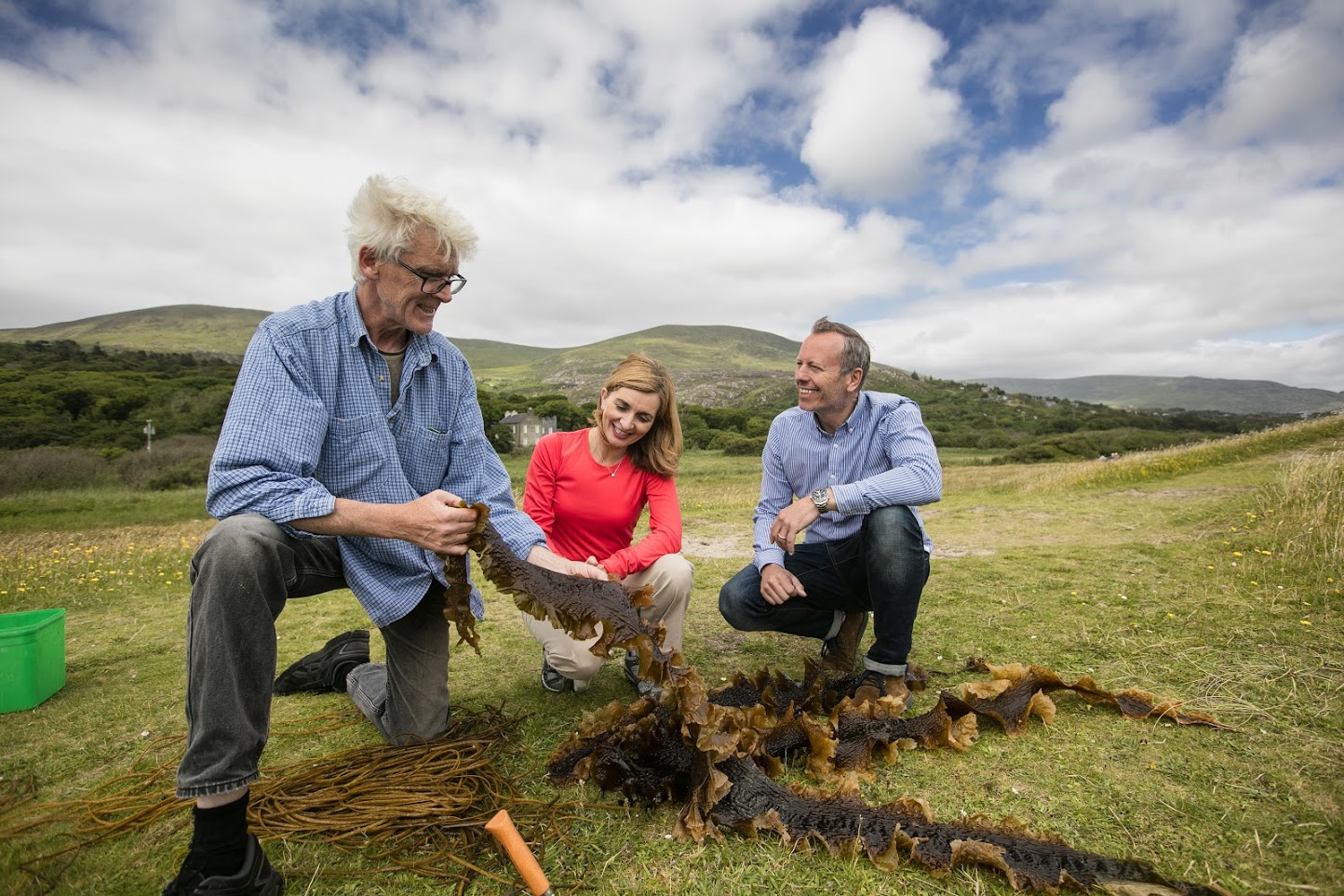 People looking at seaweed with mountains in the background