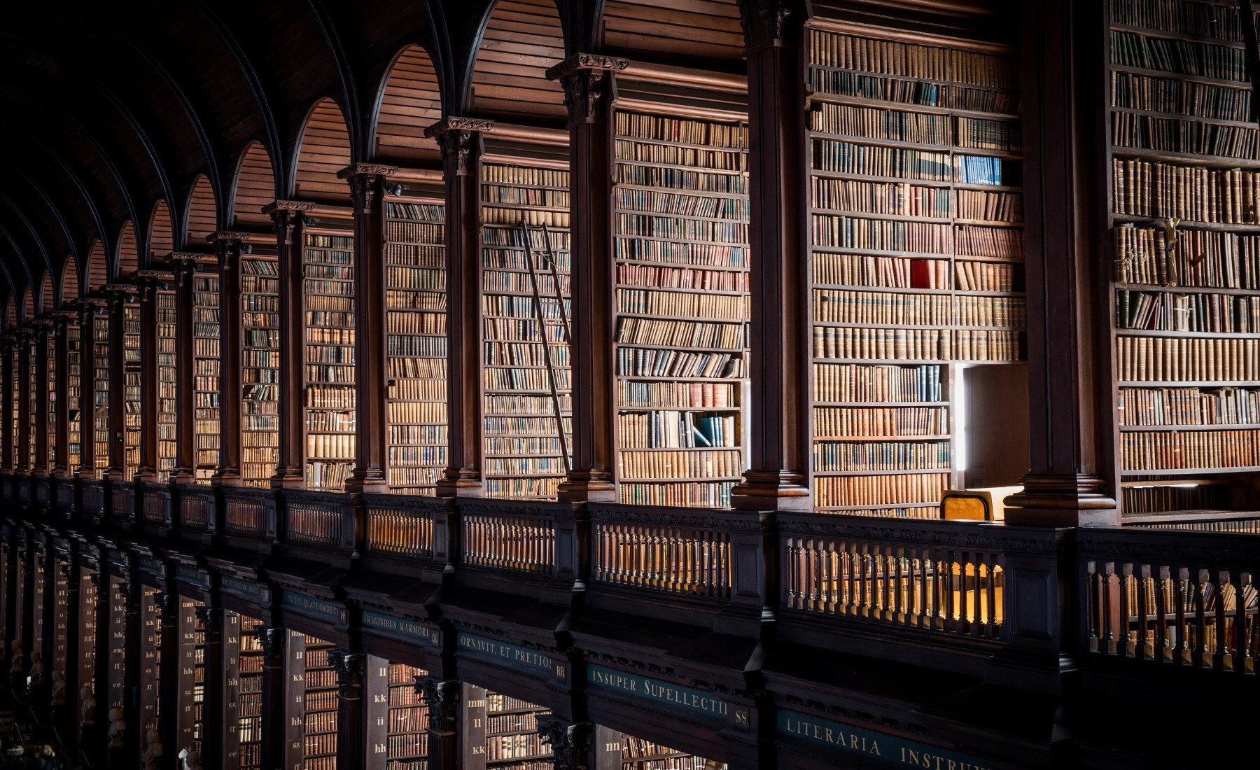 A dimly lit library with continuous bookshelves 